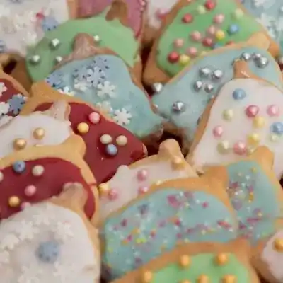 Shaped Iced Biscuits craft activity