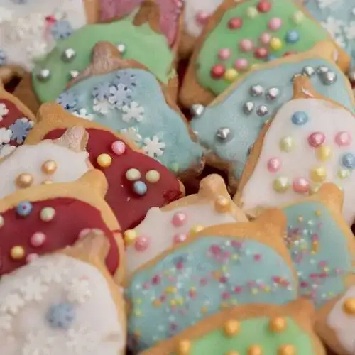 Shaped Iced Biscuits craft activity