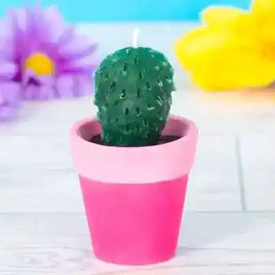 Cactus Candle craft activity