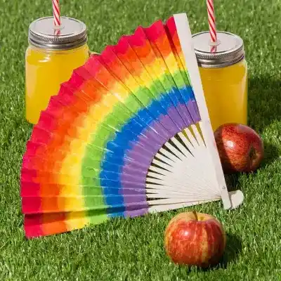 Rainbow Fan craft activity