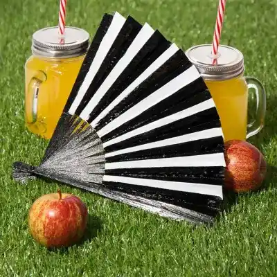 Monochrome Fan craft activity