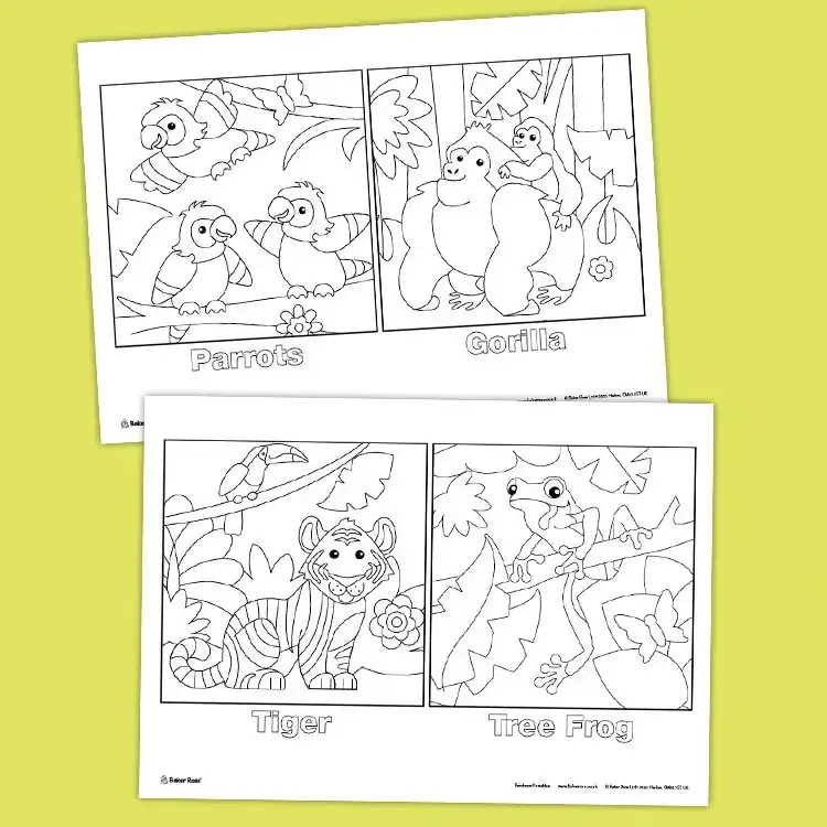 Rainforest Animal Pictures craft activity