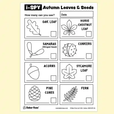 i-Spy Printables – Autumn Leaves & Seeds craft activity