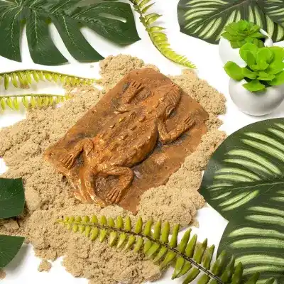 Crocodile Relief craft activity