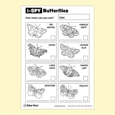 i-Spy Butterflies craft activity