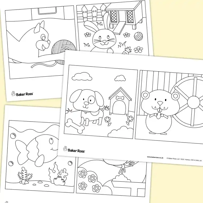 Pet Pictures craft activity