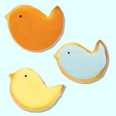 Easter Bird Iced Cookies   craft activity