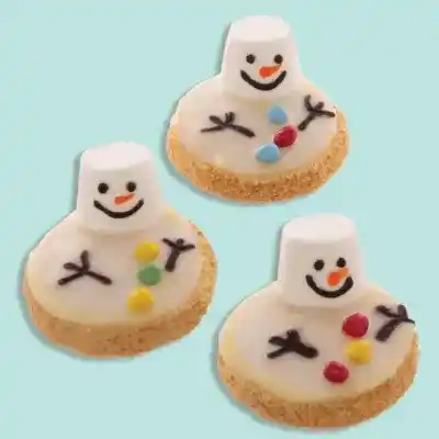 Melted Snowman Biscuits   craft activity