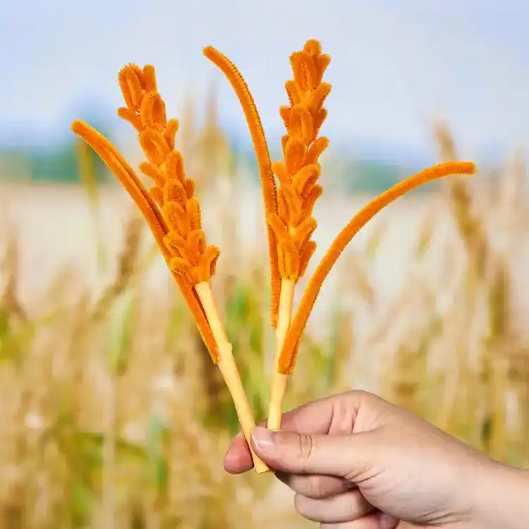 Pipe Cleaner Wheat craft activity