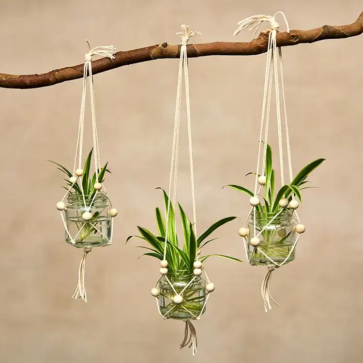 Macrame Jar Plant Holder craft activity