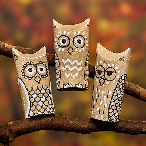 Cardboard Tube Owl