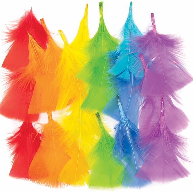 Rainbow Colours Craft Feathers