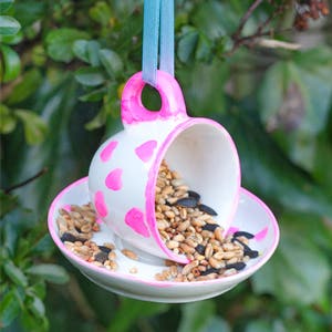 bird-feeder